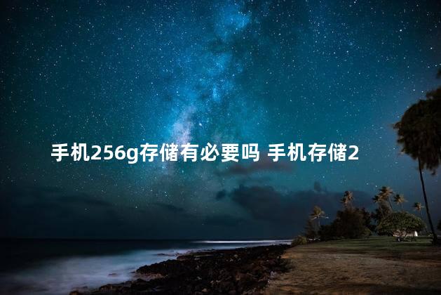 手机256g存储有必要吗 手机存储256gb够用吗